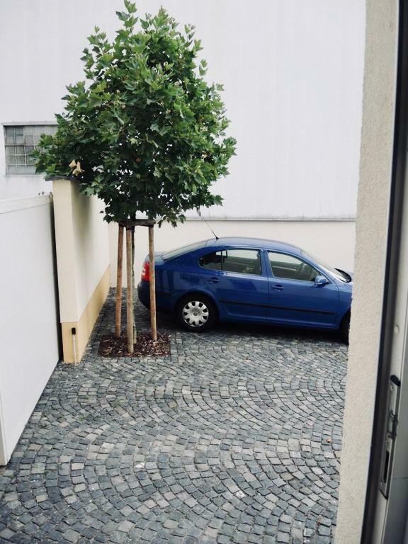 Apartment Modernes - Neustadt/weinstrasse Stadt
